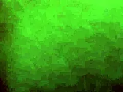 Fingering both holes - pussy and ass at the same time