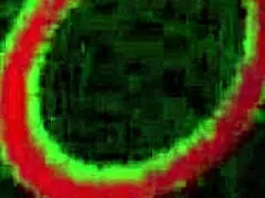 Poolside Action With Vicky Vette Showing Natural Tits And Dirty Talk.