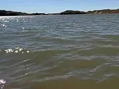 Caught Mature Woman Bent Over Deep Throating Monster Cock