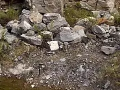 A pornstar gets fucked in the bush 😈