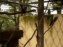 Two tourists meet in the park for new adventures