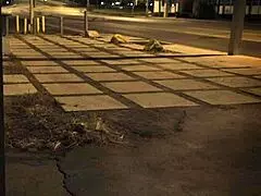 Outdoor Bdsm Fuck Milf