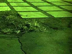 English milf dominates outdoors in hardcore bdsm