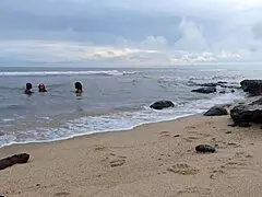 trepando com duas gatas e gozando na boca delas agora