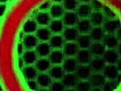 mature bbw sara jay teases with dildo in tight ass