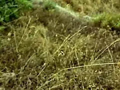 during my trip to cyprus, enjoyed a petite outdoor blowjob in nature.