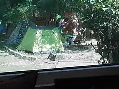 that hairy mature milf is licking my ass so suggestively...