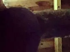 vamos foder gostoso with sexy latina's curvy tattooed body