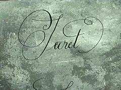 The Victorian gentleman confesses his erotic secrets with granny at home, focusing on her big tits and hairy pussy