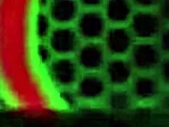 Aiden Ashley和双人组玩骚逼快感