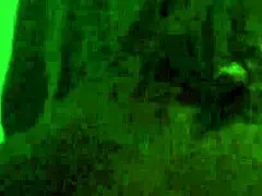 samuka ventura bouncing on monster cock for orgasm