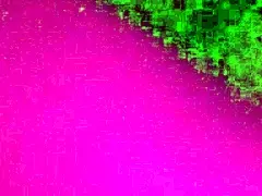 Drunk lesbians give each other muff diving pleasure with tongues