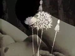 היי, אי פעם חקרת את העולם הפרוע של פורנו וינטג' עם מילף שיעירה כזאת?