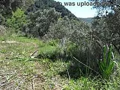 horny milf pisses from hairy pussy scaring voyeur