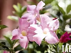 Kyler Quinn's taboo punishment