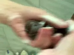 Monster cock gives anal creampie to big ass mother in law in interracial sex