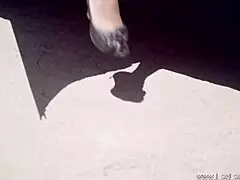 Beautiful Lesbians Kissing and Fingering Each Other