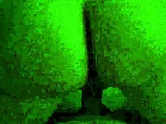 Look At That Wife Bouncing In Reverse Cowgirl With Her Wet Pussy!