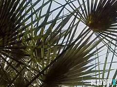 Arab milf leighla habib shows petite body! 😍