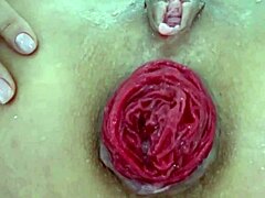 Tuhottu anaali mehukas prolapsi perse lähikuvassa leikki milf amatööreillä