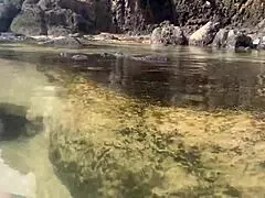 a stranger feeds my sperm to fish in public pov handjob scene