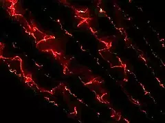 Milf1755's step mother masturbates her ass with a dildo.