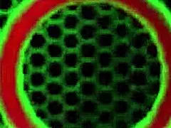 19-years-old blonde allie addison gives sexy foot jobs with toes 😘