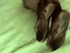 I woke up with cum on my sexy ass from KlaudiaAmbergirl, that brunette milf in stockings and lingerie.