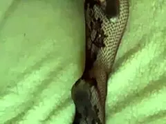 I woke up with cum on my sexy ass from KlaudiaAmbergirl, that brunette milf in stockings and lingerie.