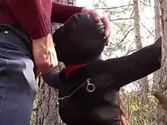 Check out this MILF compilation with bondage and facefucking 😈