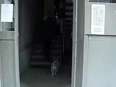 Caregiver Gets Caught Masturbating On The Ward!