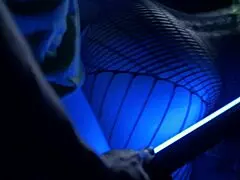 Hey, ever wondered about Catwoman's wild night where she gets all depraved in fishnets and gloves?