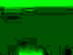 Secret Vintage Granny Fanny Fuck