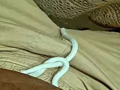 alineflavio shares update 123 with vid from aug 11 2024