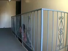 18 young emi reyes blows the camera man, deepthroats monster cock in doggystyle.