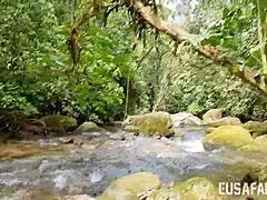 milf en la caza al aire libre