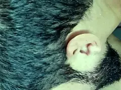 Latina Shows Pussy To Get Anal From Neighbor