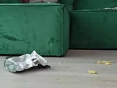 Bitch Gets Spanked By Daddy.