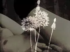 Two Centuries of Vintage Porn