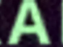 Milagros Raiza gets caught by a shy guy at night!