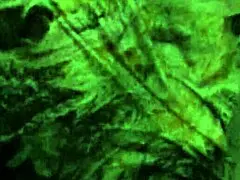 This Blonde Girlfriend Gets Bent Over, Humiliated as a Slut, and Filled with Cum During Casting