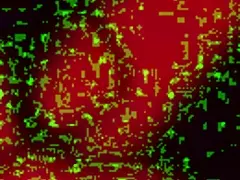 fucking kali ryder in a sex dungeon with her tattooed milf body bent over doggystyle