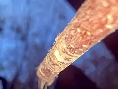 Intense outdoor sex with real witch in forest