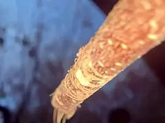 Intense outdoor sex with real witch in forest