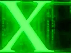 Bunny Madison begs for a creampie from brad newman