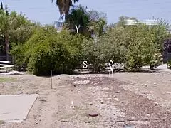 Real estate agent Shay Sights chats, 'Bribe the client with steamy sex?'