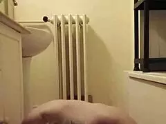 2024 10 15 esclave f autos�ance pisse et humiliation!