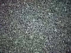 My Beautiful Latina Friend from Venezuela