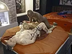 Hej, pozri si tento trojku v brlohu, kde Jay Playhard užíva Evu May a Livie Blainn s ich veľkými prirodzenými cicmi.