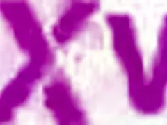 Fucking Hayek Sisters Anal Destruction